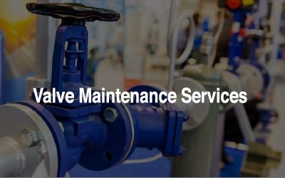 Valve Maintenance Services